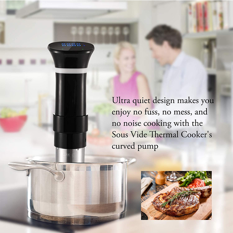 Sous Vide 1100W de Alta Potênc - Sous Vide Immersion avaliação e preço